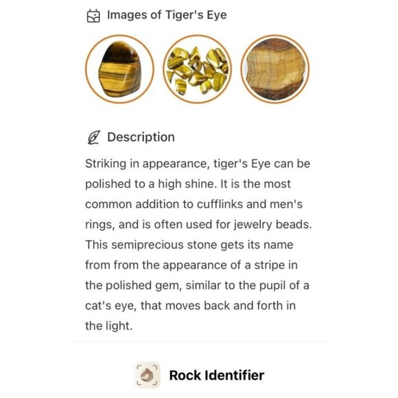 Tigers Eye Gemstone Ring Size 9.75 on Silvertone with Vine Accents on Band - Picture 6 of 12